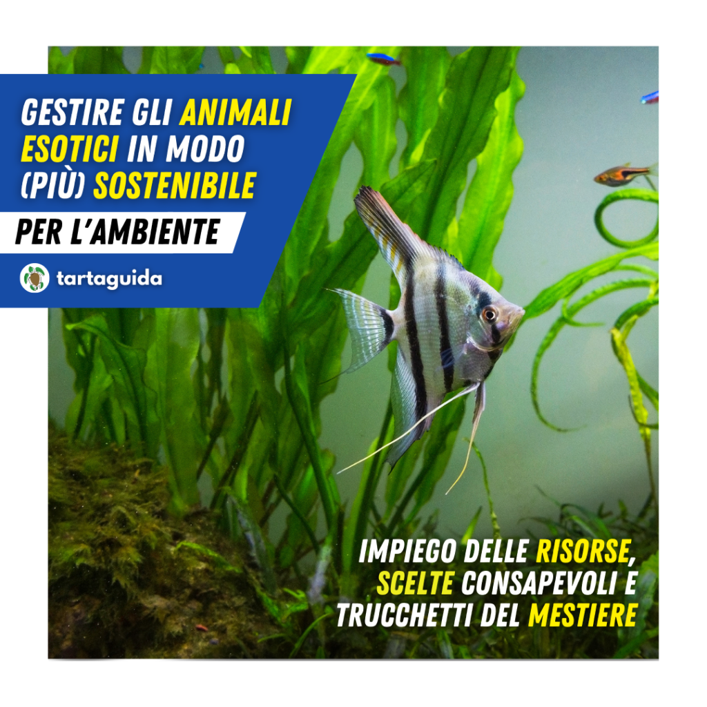 Animali esotici sostenibilità ambientale