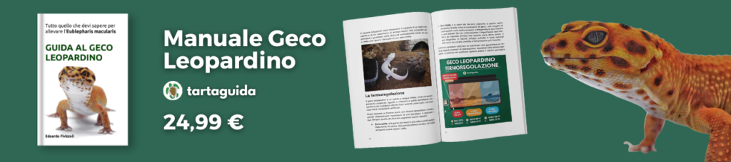 libro geco leopardino