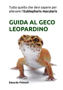 Manuale geco leopardino