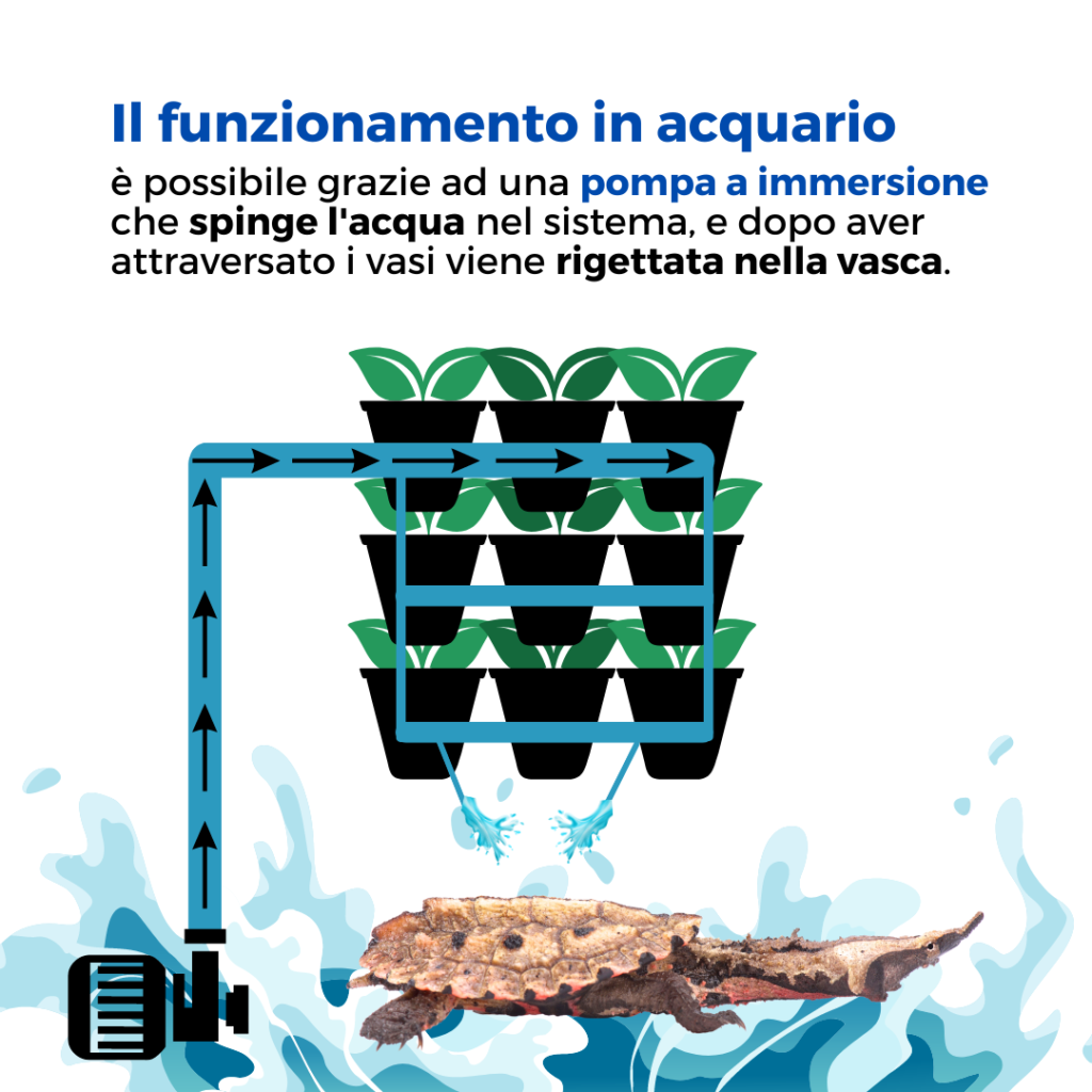 versa garden acquaponica acquario