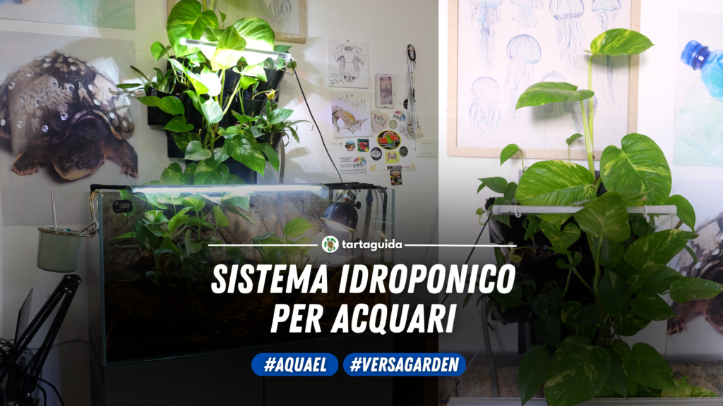 versa garden idroponica acquario