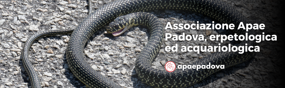 apae padova associazione rettili