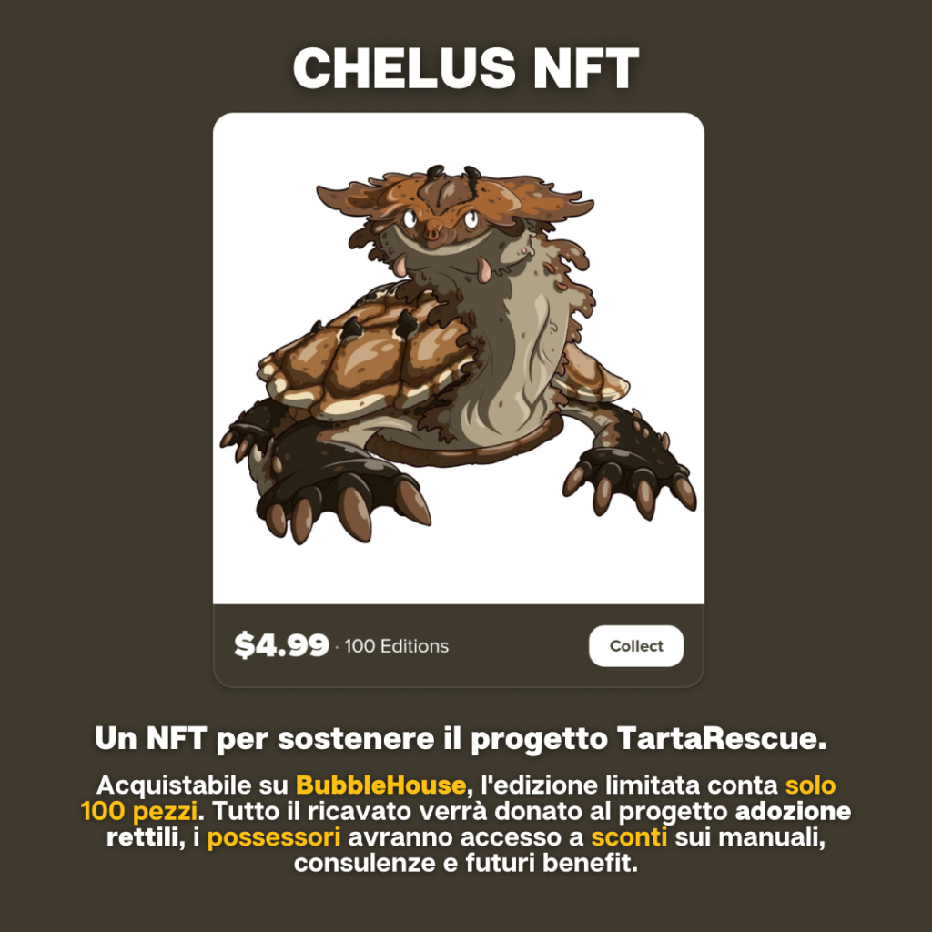 nft rettili