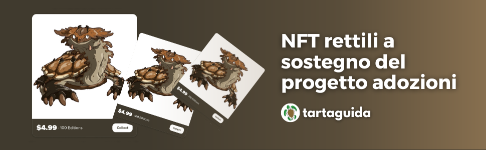 Nft rettili