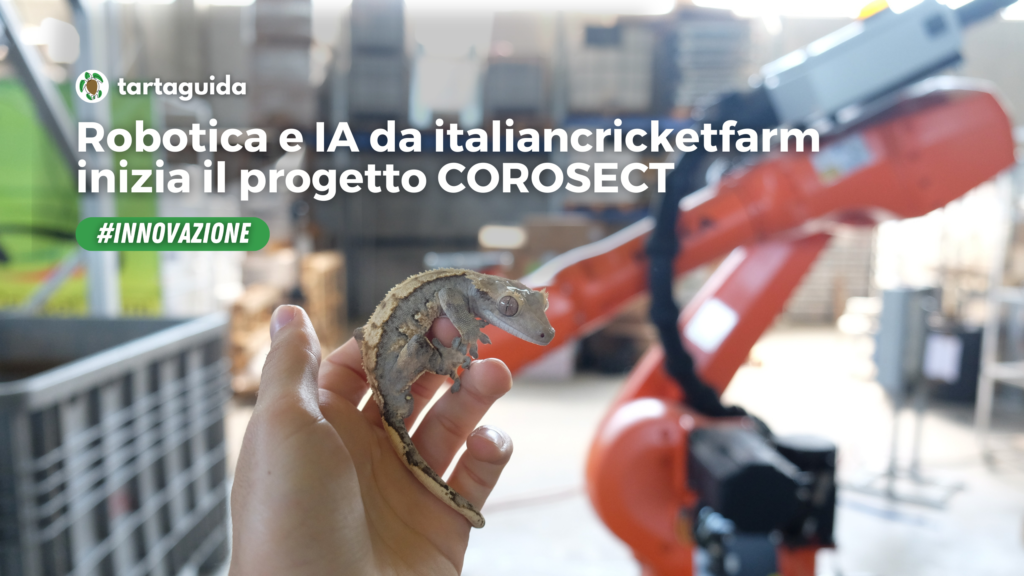 italiancricketfarm robotica ia