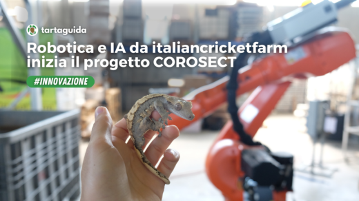 italiancricketfarm robotica ia