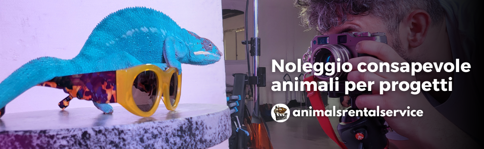 noleggio animali