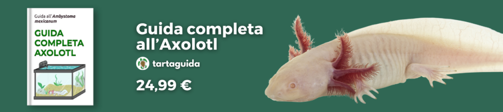 libro axolotl