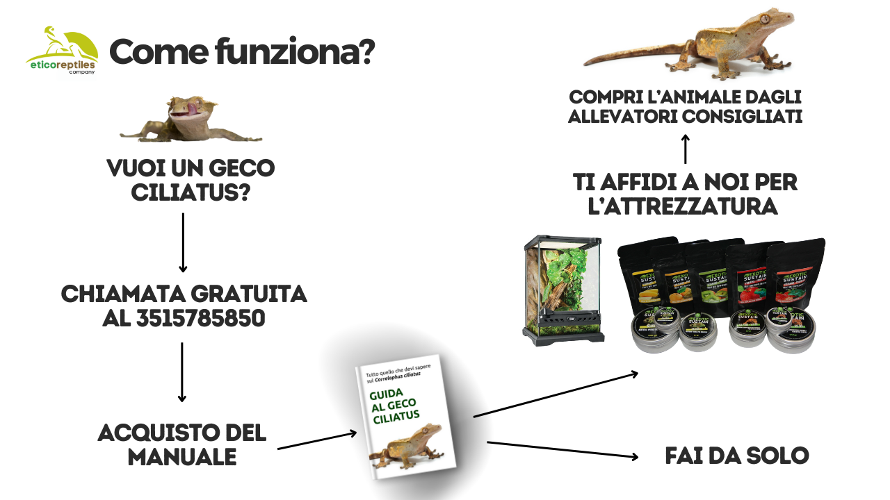 Integratori Vitamine Rettili Mangime Per Gechi Ciliatus - Alimento - 7