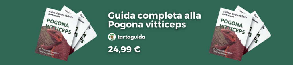 manuale pogona vitticeps