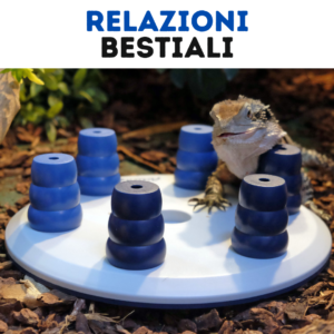 Relazioni bestiali