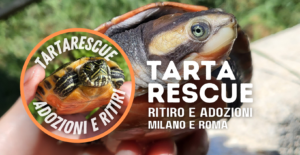 centro recupero tartarughe Milano a
