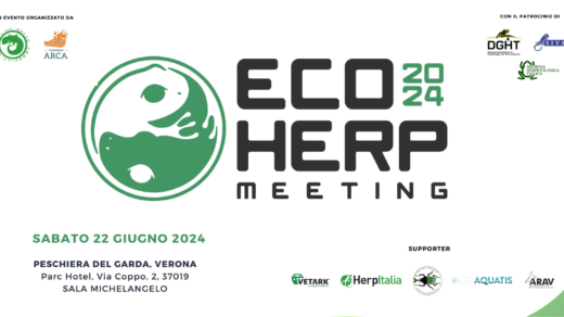 ecoherp meeting 2024