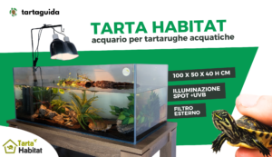 acquario per tartarughe d'acqua dolce