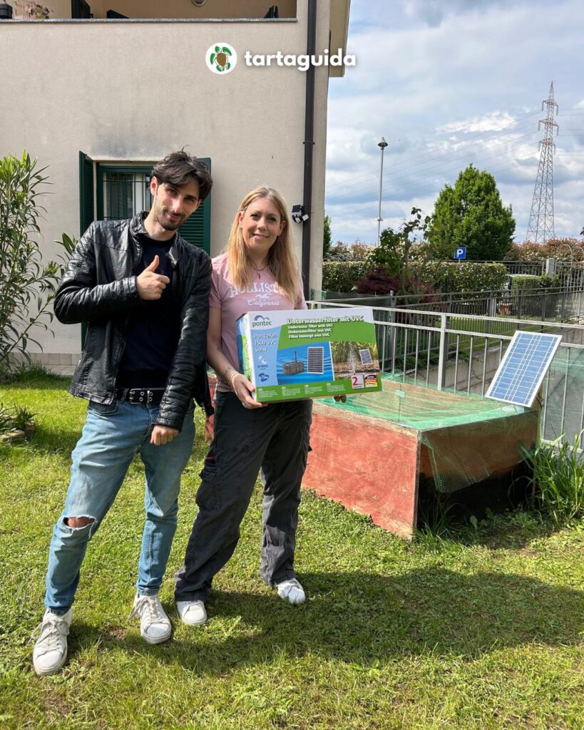 filtro a pannello solare per tartarughe d'acqua dolce