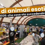 Fiere di animali esotci e rettili nel 2026