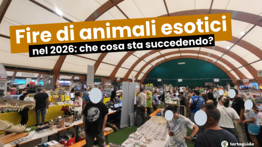 Fiere di animali esotci e rettili nel 2026