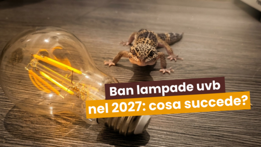 ban lampade uva uvb per rettili 2027